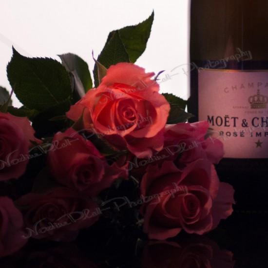 Champgane and Roses photography by Nadine Platt