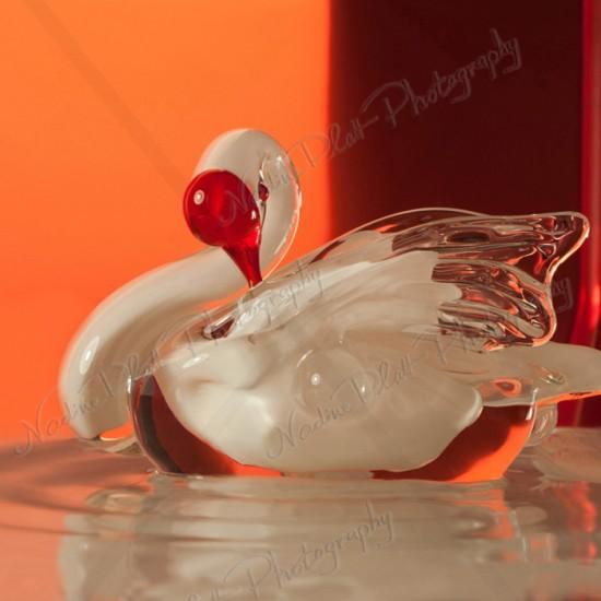 Glass swan photography by Nadine Platt